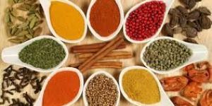 Indian Spices