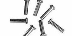 Stainless Steel Rivets