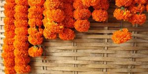 Marigold Flower Strings