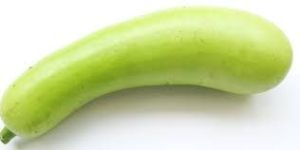 Fresh Bottle Gourd