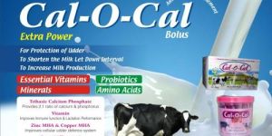 Cal - O - Cal Bolus