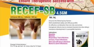 Recef - SB 4.5GM Injection