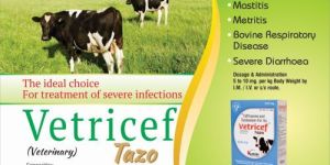 Vetricef Tazo Injection