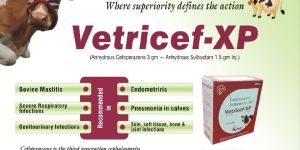 Vetricef - XP Injection