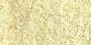 CO-51 Rice