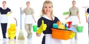 Cleaning Services