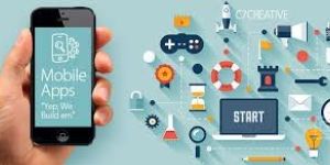 Website/App Developer