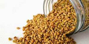 Fenugreek