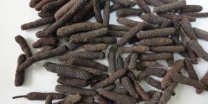 Long Pepper