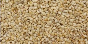 Sesame Seeds