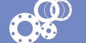 PTFE Gaskets