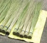 Soft Broom Hard Broom