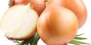 Fresh Onion