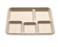 Lunch Tray