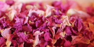 Dry Rose Petals