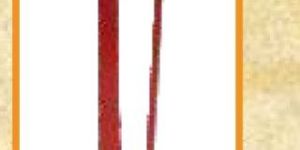 Seed Cum Fertilizer Dibbler