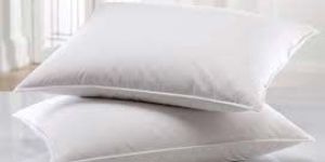 Plain Pillow Cases