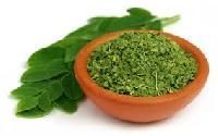 Moringa Products