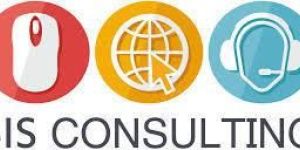 BIS Consultancy Services