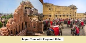 2 Days Private Pink City Jaipur Tour with Elephant Ride