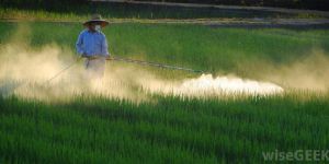 Agricultural Pesticides
