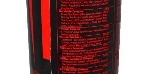 Animal Nutrition Supplements