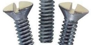 Electrical Screws