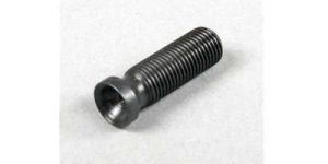 Rocker Arm Screw
