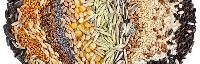 Agri Seeds