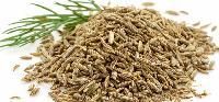 Cumine Seed