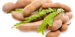 Tamarind Pods