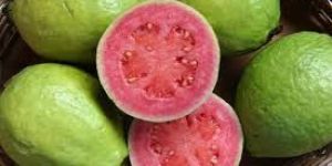 Fresh Guava