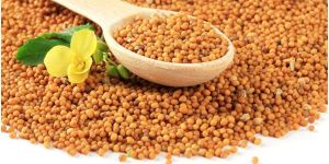 Mustard Seeds