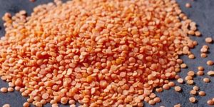 Red Lentils