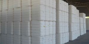 Raw Cotton Bales