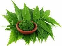 Neem Insecticides