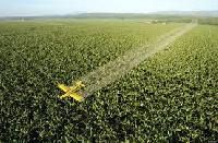 Chemical Pesticides