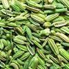 Fennel Seeds