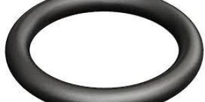 Viton O Ring