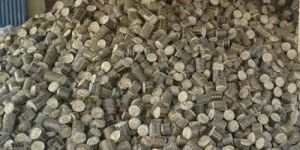 Biomass Briquettes