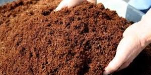 Coconut Coir