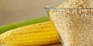 Maize Germ