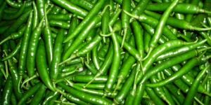 Green Chili