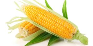 Yellow Corn