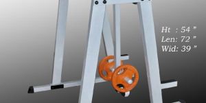 Reverse Hyper Extension