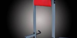 Vertical Knee Raise (Dip/Parallel Bar)