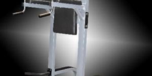 Vertical Knee Raise (Heavy Duty)