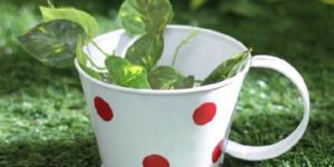 White Small Polkadots Cups