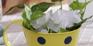 Yellow Small Polkadot Cups