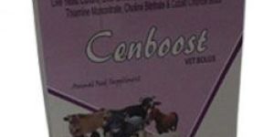 Cenboost Bolus